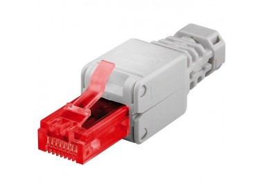 PLUG CAT6 Garanzia 3 anni