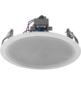 ALTOPARLANTE PA Garanzia 3 anni