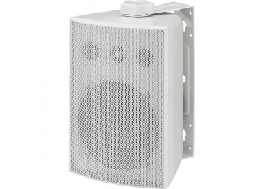 CASSA ACUSTICA 100V 50W IP65  Garanzia 3anni