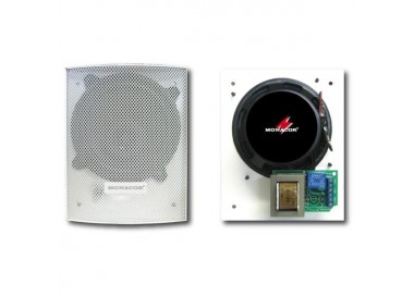 DIFFUSORE DA INCASSO 100V 10W**