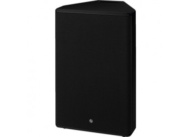 CASSA ACUSTICA 100V 50W. Garanzia 3 anni