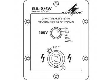 CASSA ACUSTICA 100V 50W. Garanzia 3 anni