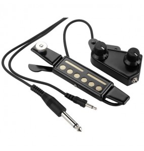 MICROFONO X CHITARRA