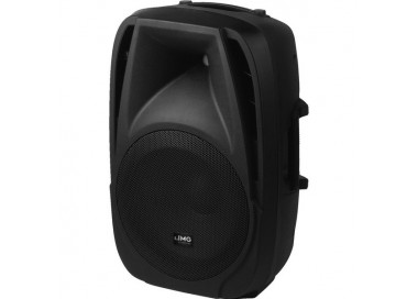 "CASSA ACUSTICA WOOFER 12"" *"