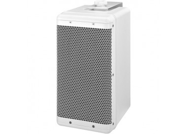 CASSA ACUSTICA 100V 100W o 8 Ohm 180W IP45