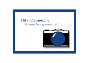 MODULO ATTIVO 300W RMS