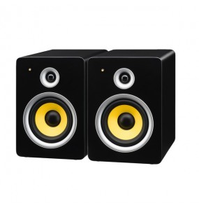 COPPIA CASSE AMPLIFICATE