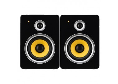 COPPIA CASSE AMPLIFICATE