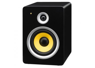 COPPIA CASSE AMPLIFICATE