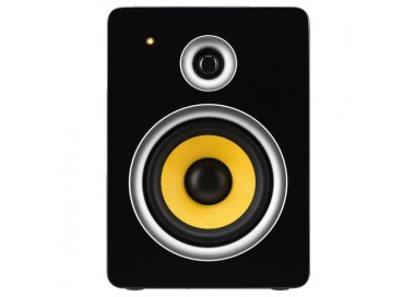 COPPIA CASSE AMPLIFICATE