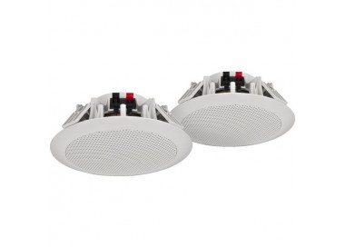 COPPIA DIFFUSORI   224mm 4 Ohm 80Wmax IP65
