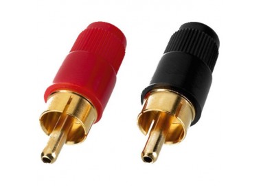 CINCH MASCHIO COPPIA