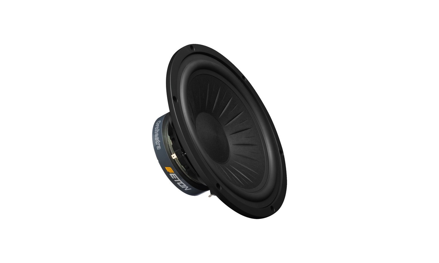 ALTOPARLANTE Garanzia 3 anni