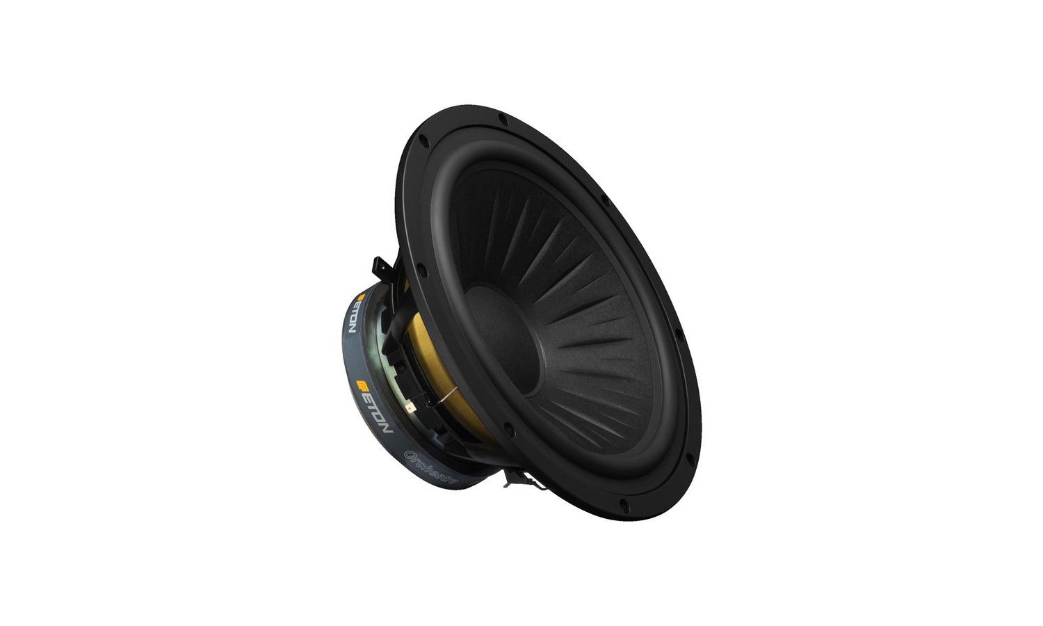 ALTOPARLANTE Garanzia 3 anni