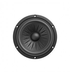 ALTOPARLANTE MIDRANGE Garanzia 3 anni