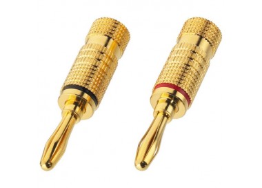 COPPIA BANANE DORATE R/N